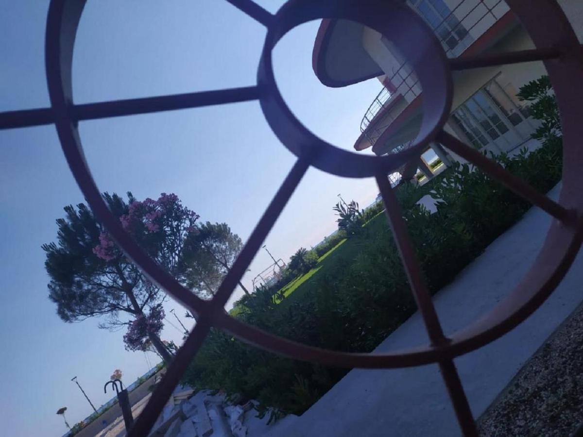 Il Nido Di Alice Apartment